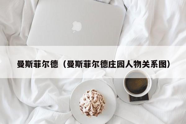 曼斯菲尔德（曼斯菲尔德庄园人物关系图）