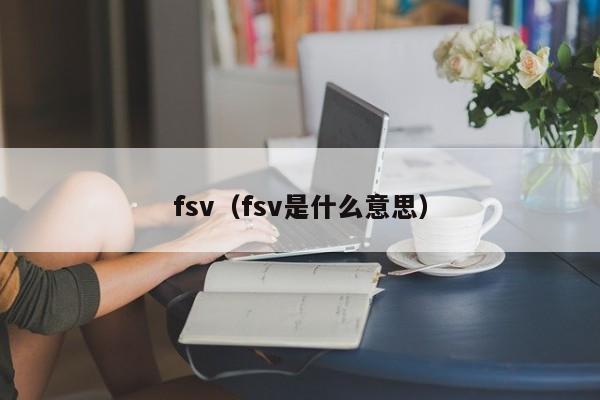 fsv（fsv是什么意思）