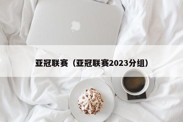 亚冠联赛（亚冠联赛2023分组）