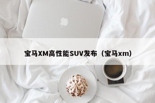 宝马XM高性能SUV发布（宝马xm）