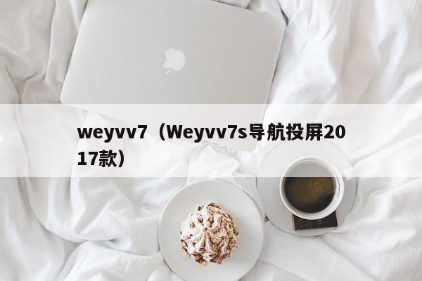 weyvv7（Weyvv7s导航投屏2017款）