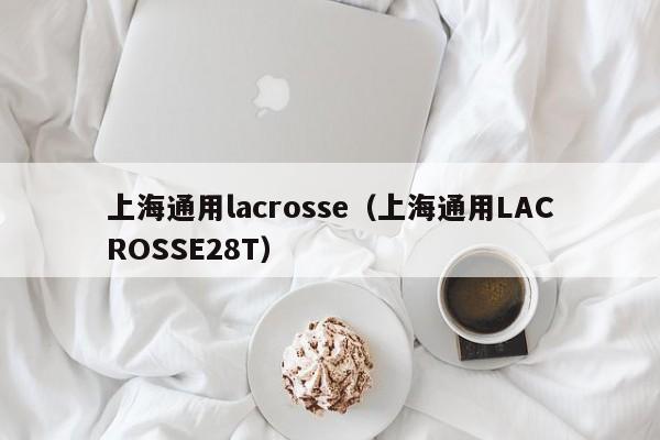 上海通用lacrosse（上海通用LACROSSE28T）