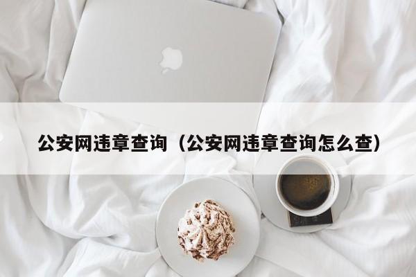 公安网违章查询（公安网违章查询怎么查）