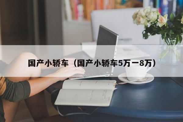 国产小轿车（国产小轿车5万一8万）