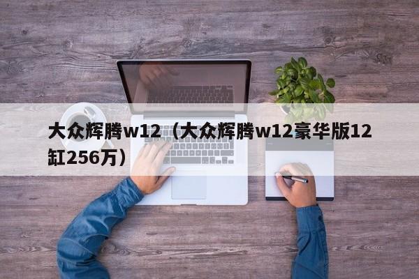 大众辉腾w12（大众辉腾w12豪华版12缸256万）