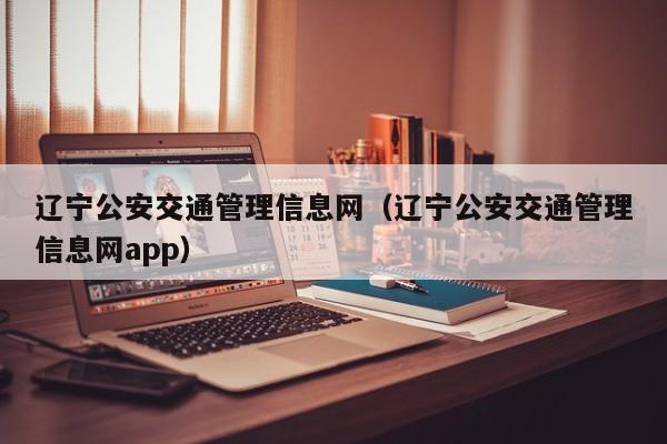 辽宁公安交通管理信息网（辽宁公安交通管理信息网app）