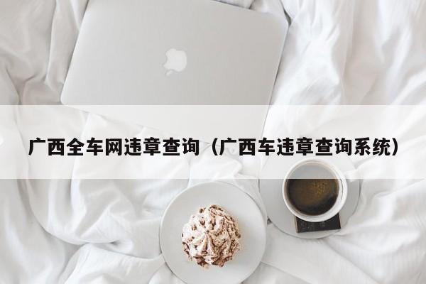 广西全车网违章查询（广西车违章查询系统）