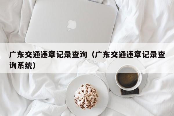 广东交通违章记录查询（广东交通违章记录查询系统）