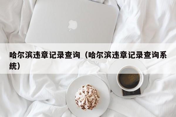 哈尔滨违章记录查询（哈尔滨违章记录查询系统）