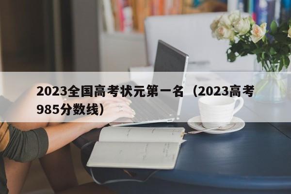 2023全国高考状元第一名（2023高考985分数线）