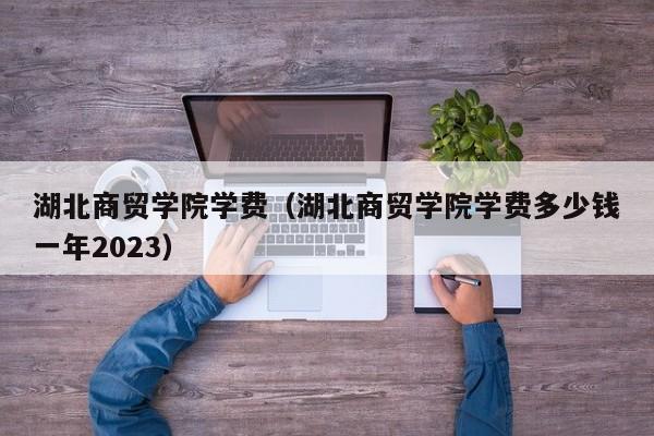 湖北商贸学院学费（湖北商贸学院学费多少钱一年2023）