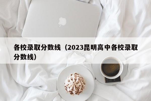 各校录取分数线（2023昆明高中各校录取分数线）