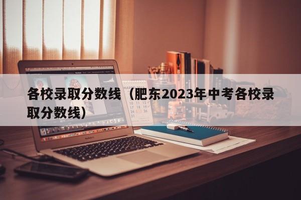 各校录取分数线（肥东2023年中考各校录取分数线）