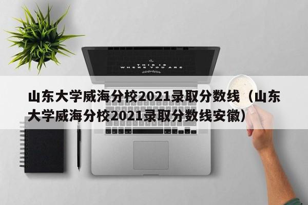 山东大学威海分校2021录取分数线（山东大学威海分校2021录取分数线安徽）