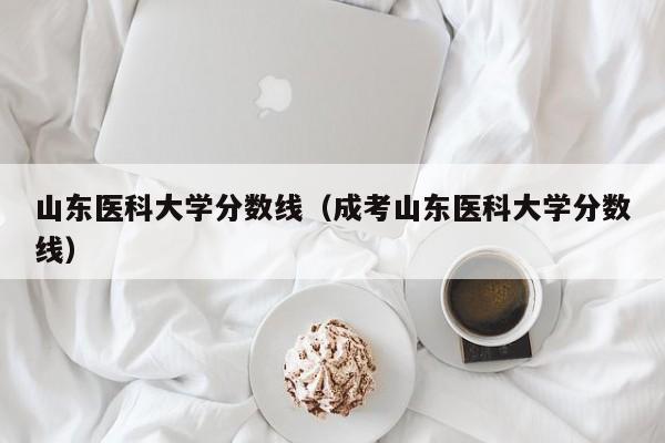 山东医科大学分数线（成考山东医科大学分数线）