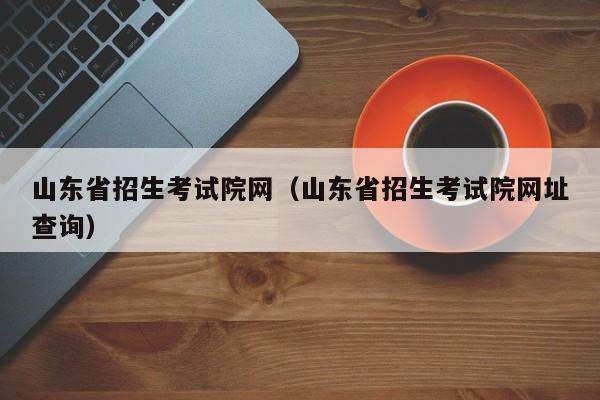 山东省招生考试院网（山东省招生考试院网址查询）