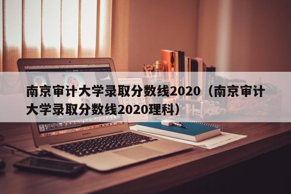 南京审计大学录取分数线2020（南京审计大学录取分数线2020理科）