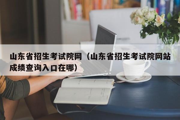 山东省招生考试院网（山东省招生考试院网站成绩查询入口在哪）