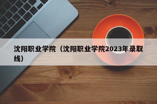 沈阳职业学院（沈阳职业学院2023年录取线）