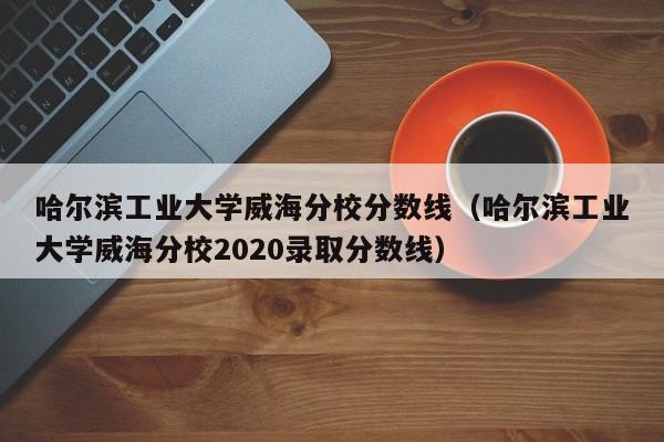 哈尔滨工业大学威海分校分数线（哈尔滨工业大学威海分校2020录取分数线）