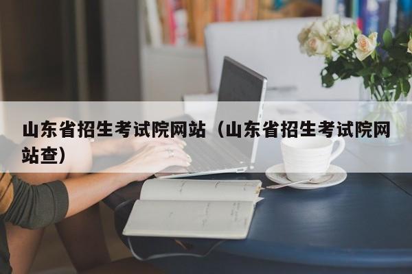 山东省招生考试院网站（山东省招生考试院网站查）