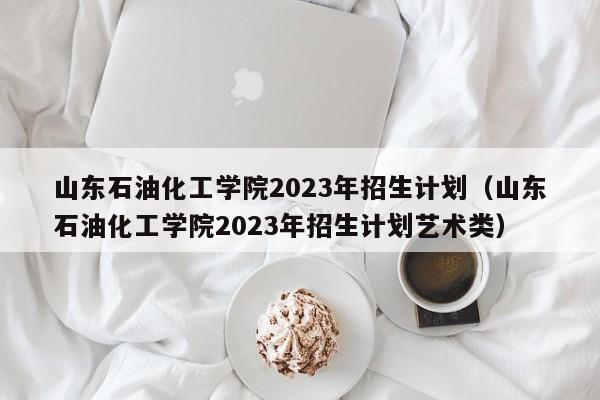 山东石油化工学院2023年招生计划（山东石油化工学院2023年招生计划艺术类）