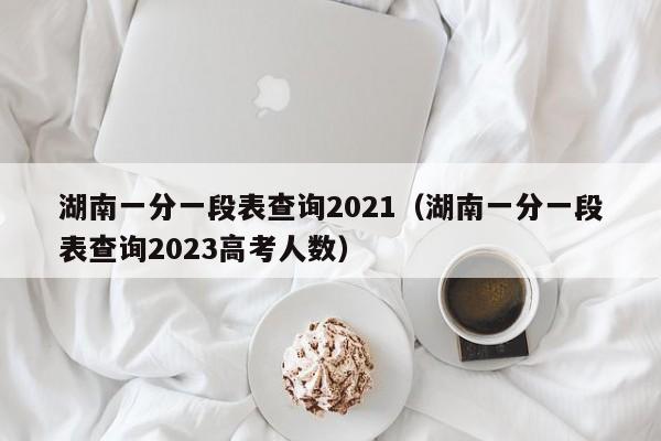 湖南一分一段表查询2021（湖南一分一段表查询2023高考人数）