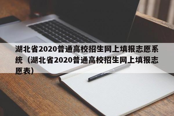 湖北省2020普通高校招生网上填报志愿系统（湖北省2020普通高校招生网上填报志愿表）