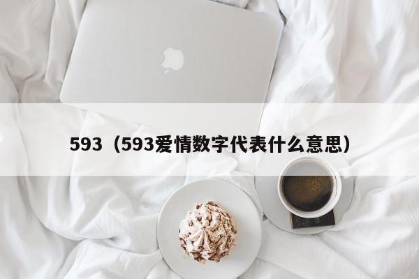 593（593爱情数字代表什么意思）