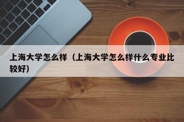 上海大学怎么样（上海大学怎么样什么专业比较好）