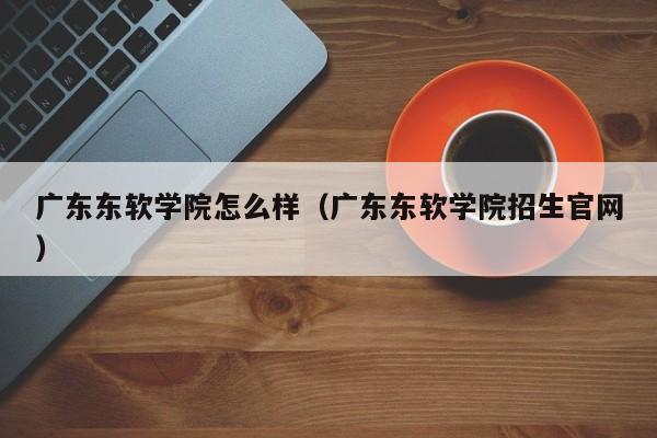 广东东软学院怎么样（广东东软学院招生官网）