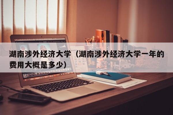 湖南涉外经济大学（湖南涉外经济大学一年的费用大概是多少）