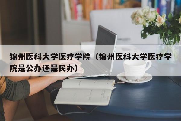 锦州医科大学医疗学院（锦州医科大学医疗学院是公办还是民办）