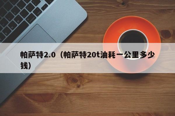 帕萨特2.0（帕萨特20t油耗一公里多少钱）