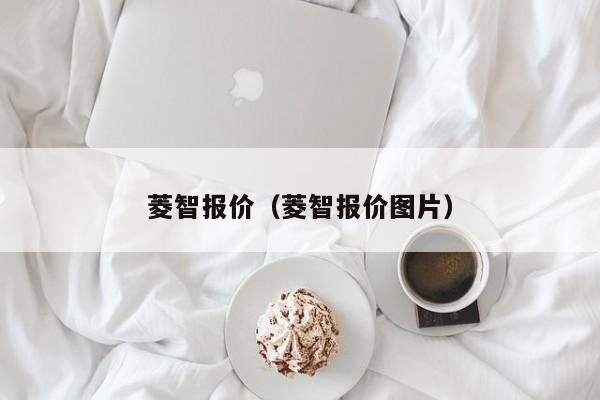 菱智报价（菱智报价图片）